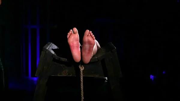 Pain ... You like ??